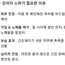 슈나우펫 이미지