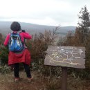 한라산둘레길 돌오름길 이미지