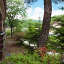 용인황토펜션 이미지