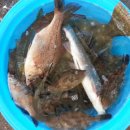 주문12리 이미지