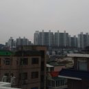 다대1동-11 이미지