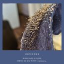 신림365약국 이미지