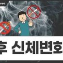 금연 후 신체변화 한눈에, 효과 부터 금단현상 약 금연하는법까지 이미지