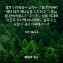 죽은 놈 다시 살리기! 이미지