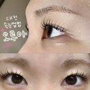 91 | 대전 유성구 노은동 1인 속눈썹펌 전문샵 [ 오루아 ] 솔직후기!