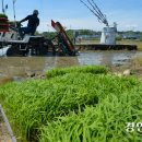 경인축산 이미지