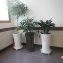 장문농장 이미지