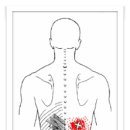 Serratus Posterior Inferior (하후거근) 이미지