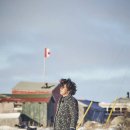 북극곰 로라 이미지