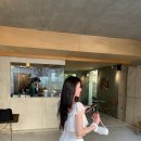소프