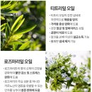 아로멍 이미지