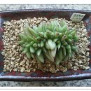 동운농장 이미지