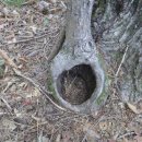 삼박골농장 이미지