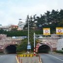 대티터널 1 이미지