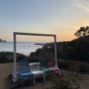 제주탐몽 | 제주 도민들은 흑돼지안먹는다. 제주 서귀포 맛집 제주탐몽(고사리 멜젓 미침)