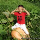 천마리농장 이미지