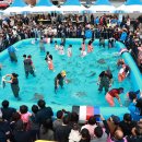 죽변장식 이미지