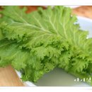 정통쌈밥 이미지