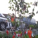 나비약국 이미지