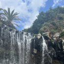 탐나는 보목 이미지