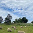 고요목장 이미지