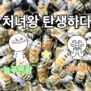 참늘푸른농장