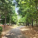 까치공원 바닥분수 이미지