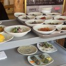 강원나물