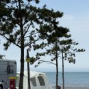 천지농협 엄다지점 | 🏕️태안 사목공원캠핑장 F2 후기 오션뷰 서브명당｜사이트, 해풍 정보