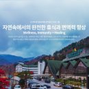 그린가족호텔 이미지