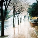 오늘의경주