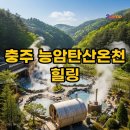 힐링이 되는 비내섬 | 충주 능암탄산온천 핀란드 사우나와 가족탕, 힐링 여행의 시작!