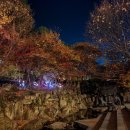 트윈스 | 단풍시즌 곤지암리조트 특별한 시즌 LG 트윈스룸 이용후기