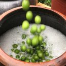 동호농장 이미지