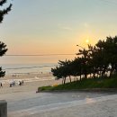 대천즐겨찾기 | 보령 대천해수욕장 여름휴가, 물놀이 후 조개구이 먹기 꿀잼💙