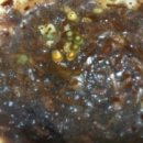 국빈대반점 이미지