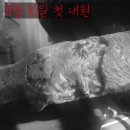 용동물병원 이미지