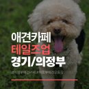 백현고고 삼거리(학교쪽) | 의정부 애견카페 테일즈업 방문 후기 - 코코와 별이의 즐거운 하루