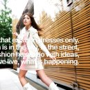 플라잉독 이미지