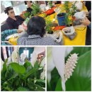 황산보건지소 이미지