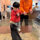 ㈜서대전현대서비스 | 대전 봉산동 애니멀스타(동물카페)