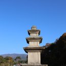 칠곡 기성리 삼층 석탑 | [경북 칠곡] 기성리 삼층석탑 (2024.11.16)