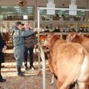 의령축산업협동조합 이미지