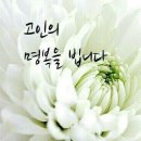 고인 이미지