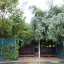 관모초교 이미지