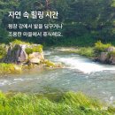 스테이구들 이미지