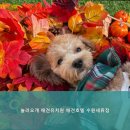 놀러오개 애견유치원 애견호텔 수원세류점 | 수원역호텔 놀러오개 애견유치원 애견호텔 수원세류점 1. 예약은 필수입니다