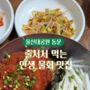 조피나메밀묵
