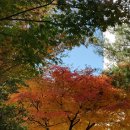 단풍약국 이미지