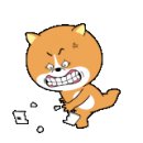 키즈매니아